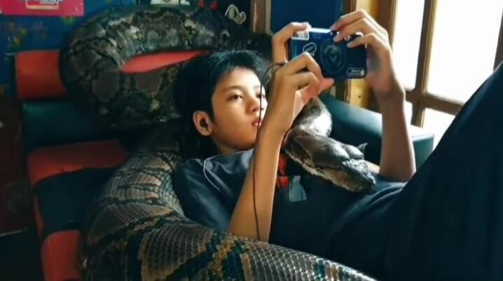 Heboh Bocah Main Game Bareng Ular Phyton Raksasa, Epic Banget! Gak Takut Ular Khilaf?
