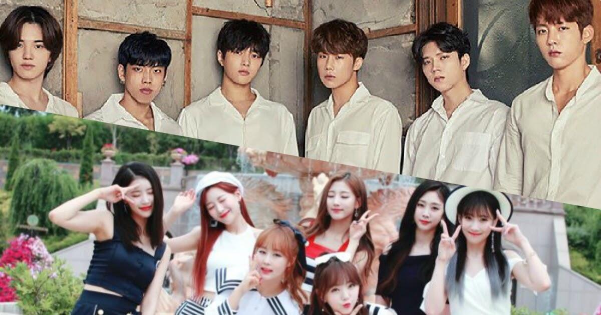 Eks Pegawai Woollim Ent Ungkap Pengalaman Kerjanya, Ternyata Tak Seindah Kelihatannya