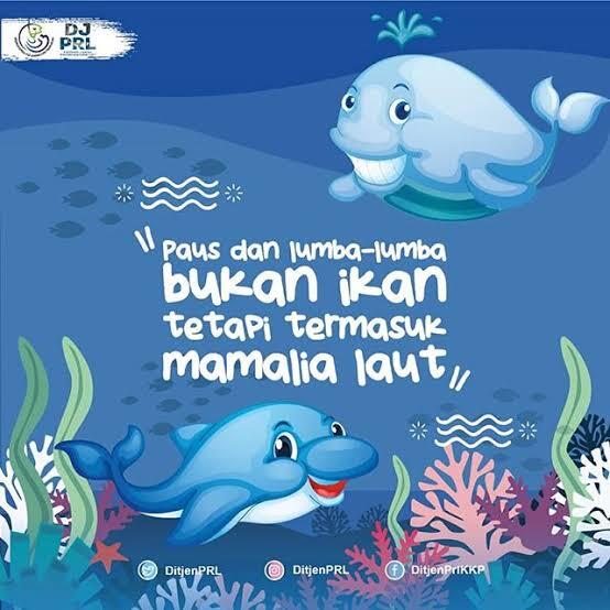 Apakah Ikan Itu Minum Dan Juga Pipis? Yuk Cari Tahu Gansist