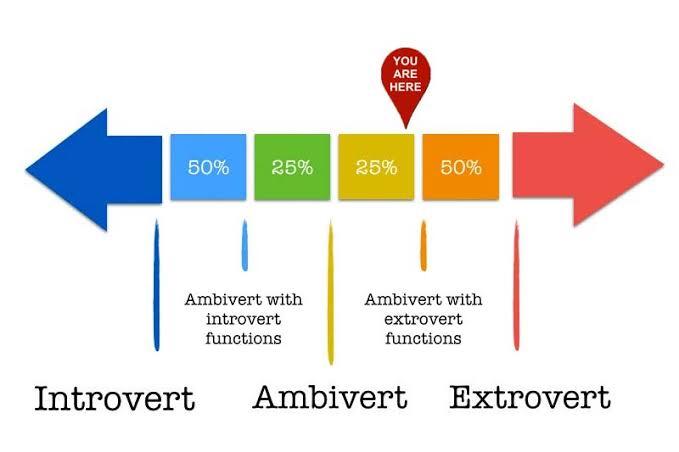 Senang Jadi Introvert Atau Ekstrovert, Atau Pilih Ambivert