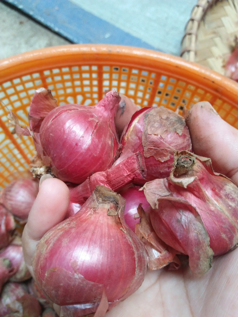 Bikin Bawang Goreng Sendiri Dirumah Ternyata Gampang Loh, Inilah Langkahnya