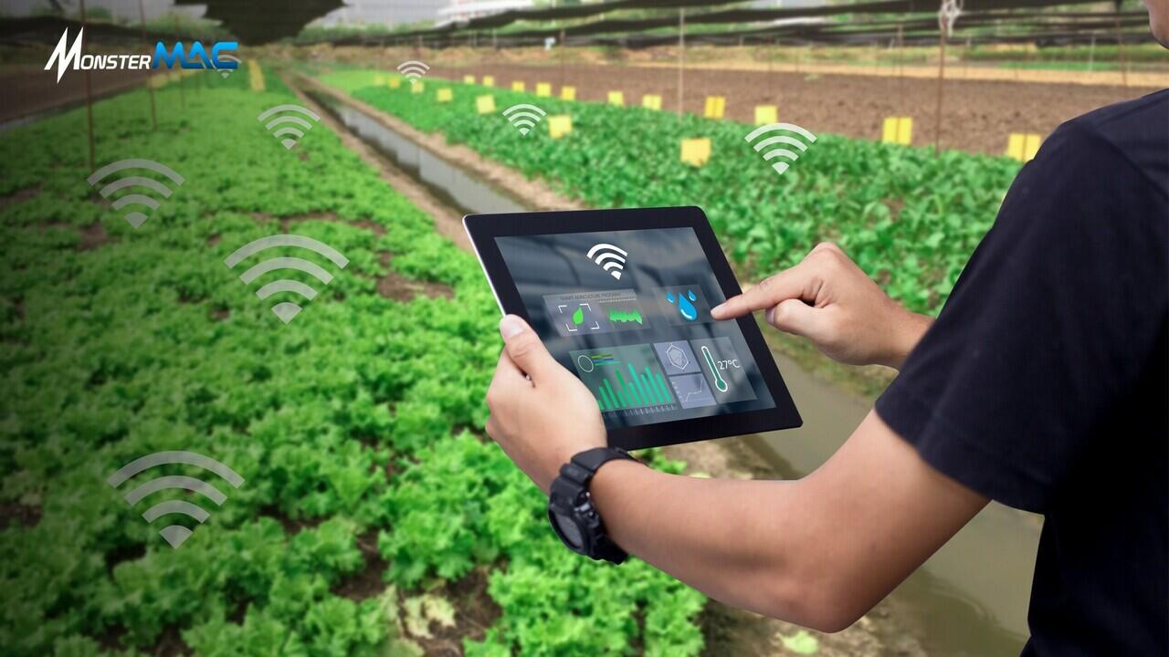 Internet of Thing (IoT) dan Sektor Pertanian