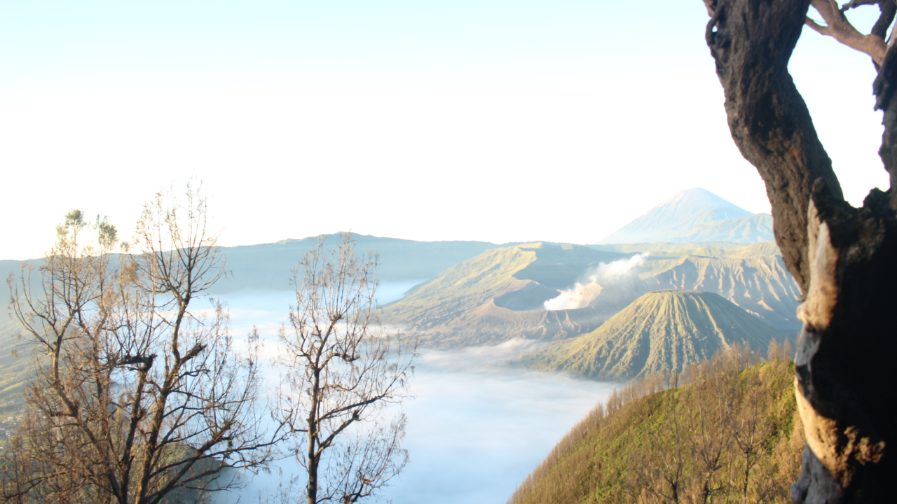 Beautiful Trip Bromo Midnight