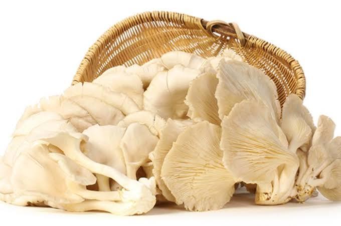 Makanan Yang Wajib Dikonsumsi Pada Masa Pandemi, Apa Makananmu?