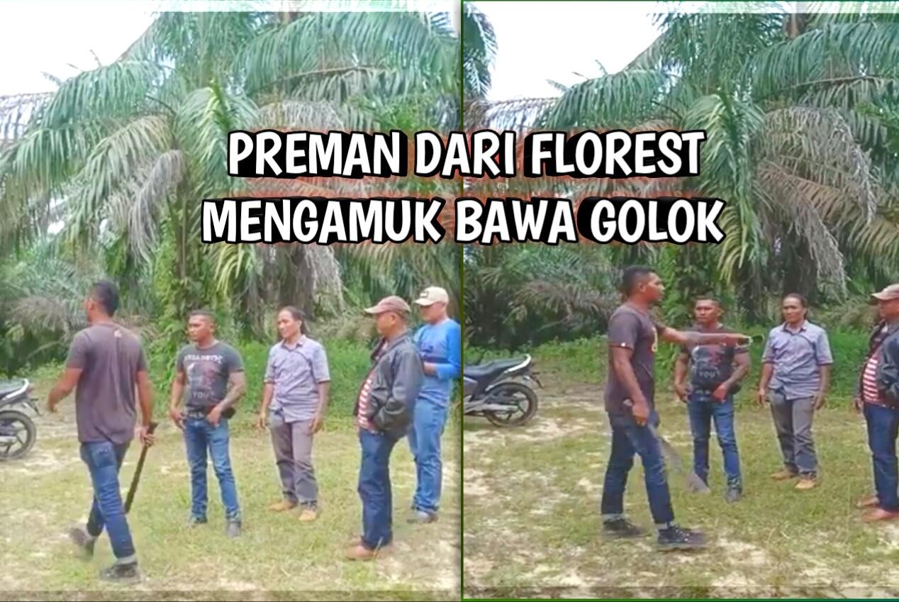 Preman Dari Flores Mengamuk