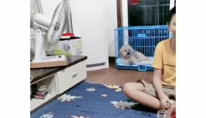 Lucu Menggemaskan, Anjing Ini Berhasil Buat Kagum Ratusan Ribu Netizen+62! Kok Bisa?