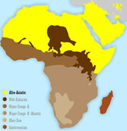 Keluarga Bahasa Afro Asiatik