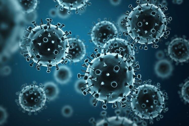 Covid-19 Belum Selesai, Virus G4 Muncul Dan Diprediksi Akan Jadi Pandemi!