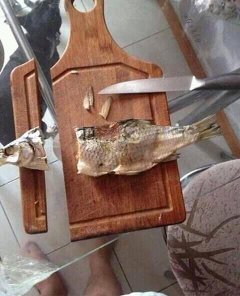 8 Foto Momen Awkward di Dapur