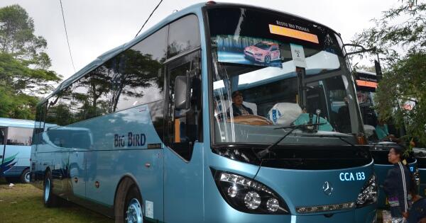 &#91;Coc Bisnis&#93; Tak Ada Client Yang Menyewa Bus, Saya Kerja Lagi Sambil Tetap Kuliah