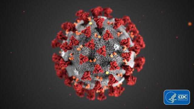 China Temukan Virus Flu Baru, Berpotensi Jadi Pandemi Lagi Seperti Covid-19