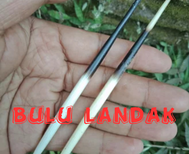 8 Benda Penangkal Setan Paling Ampuh. Nomor 4 Sering Digunakan