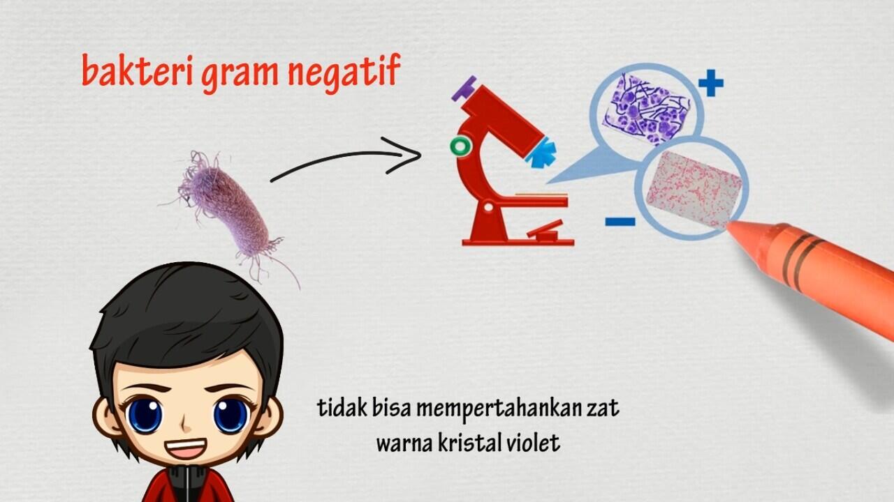 Ternyata Makhluk Kecil ini yang Memakan Sampah-sampah Plastik Kita!