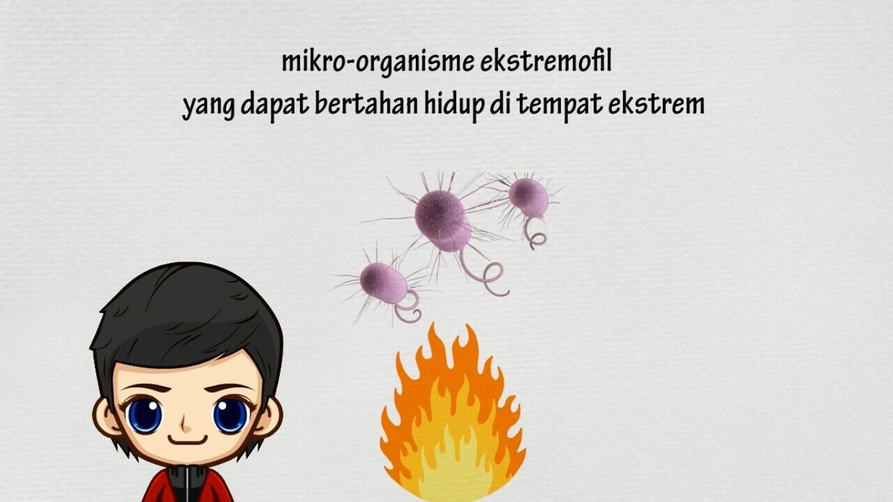 Ternyata Makhluk Kecil ini yang Memakan Sampah-sampah Plastik Kita!