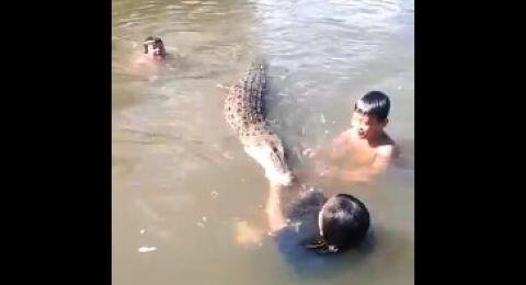 Tak Ciut Nyali, Viral Aksi Bocah Asyik Bermain Bersama Buaya di Sungai