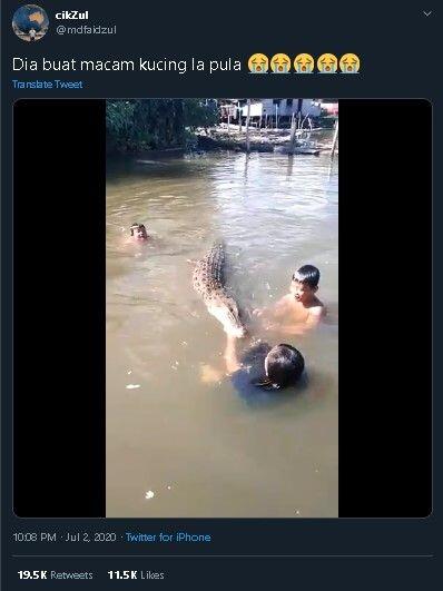 Tak Ciut Nyali, Viral Aksi Bocah Asyik Bermain Bersama Buaya di Sungai