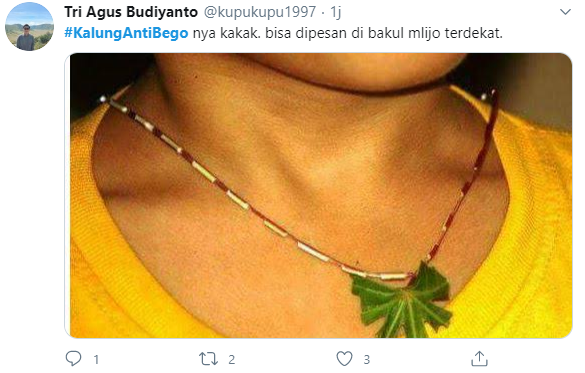 Eucalyptus, Kalung Anti Corona Milik Mentan