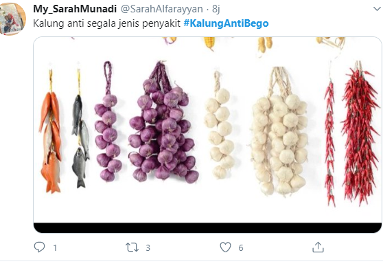 Eucalyptus, Kalung Anti Corona Milik Mentan