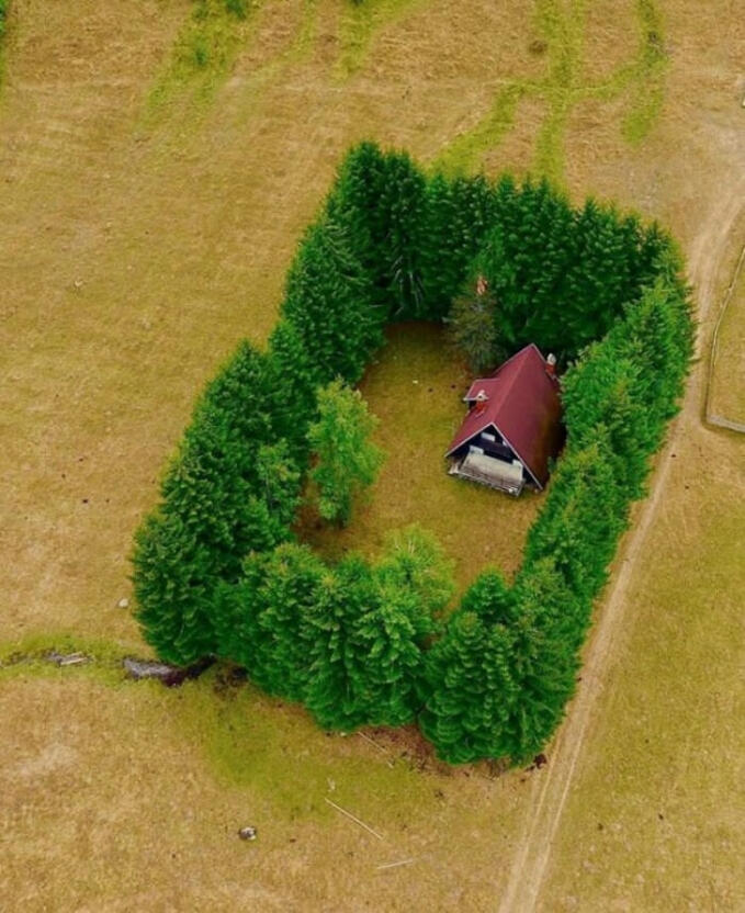 Contoh Rumah yang cocok untuk seorang introvert