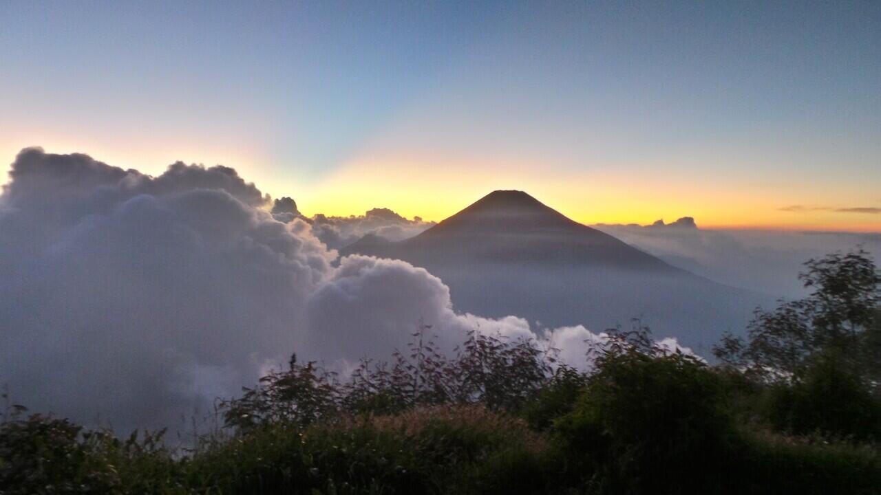 MISTERI KOPI DAN SANTAN DI GUNUNG SUMBING VIA BOWONGSO!!!