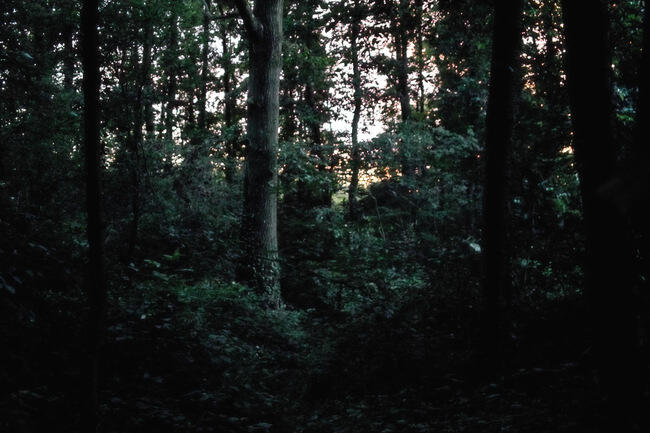 MISTERI KOPI DAN SANTAN DI GUNUNG SUMBING VIA BOWONGSO!!!