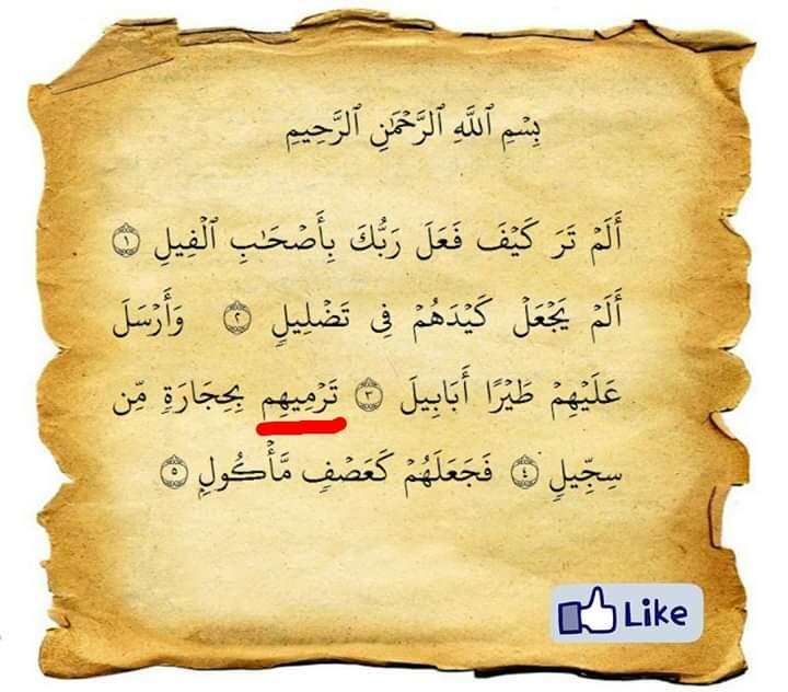 HIKMAH & MANFAAT SURAH AL - FILL