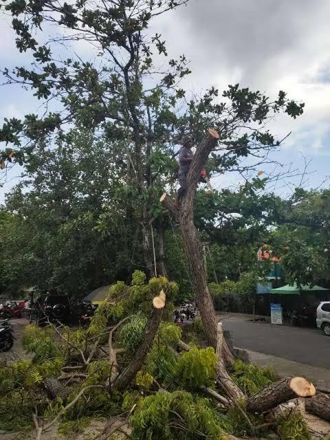 Hubungan Layanan Jasa Tebang Pohon Medan