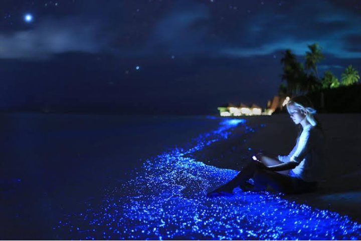 Menikmati Keindahan Sea of Stars, Salah Satu Pantai Menakjubkan di Maldives