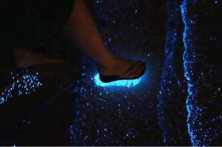 Menikmati Keindahan Sea of Stars, Salah Satu Pantai Menakjubkan di Maldives