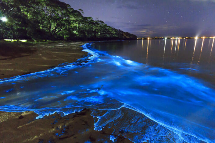 Menikmati Keindahan Sea of Stars, Salah Satu Pantai Menakjubkan di Maldives