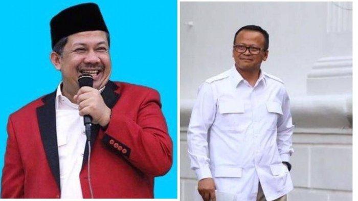 Terlibat Ekspor Bayi Lobster, Fahri Hamzah: Masa Enggak Boleh Bisnis?