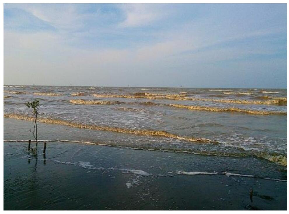 &#91;COC Reg. Karawang&#93; Wisata Pantai Karawang Mengajak Kita Mencintai Alam Dari Dekat 