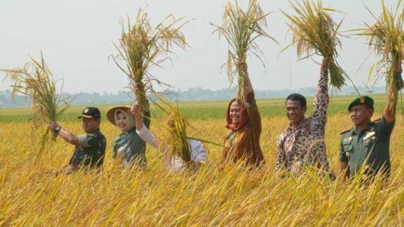 Karawang Selalu Dikenang