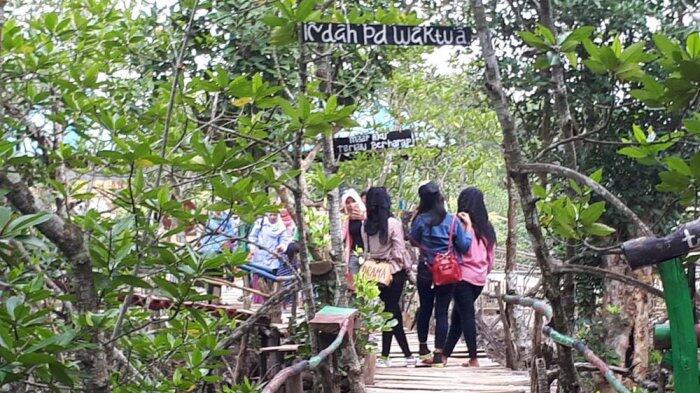 &#91;Coc Reg. Kepuluan Riau&#93; Mengenal Beberapa Wisata Mangrove Yang Ada Di Kepulauan Riau