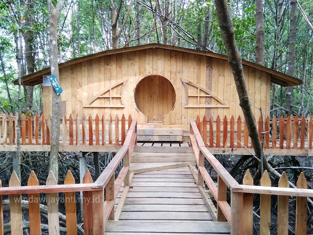 &#91;Coc Reg. Kepuluan Riau&#93; Mengenal Beberapa Wisata Mangrove Yang Ada Di Kepulauan Riau