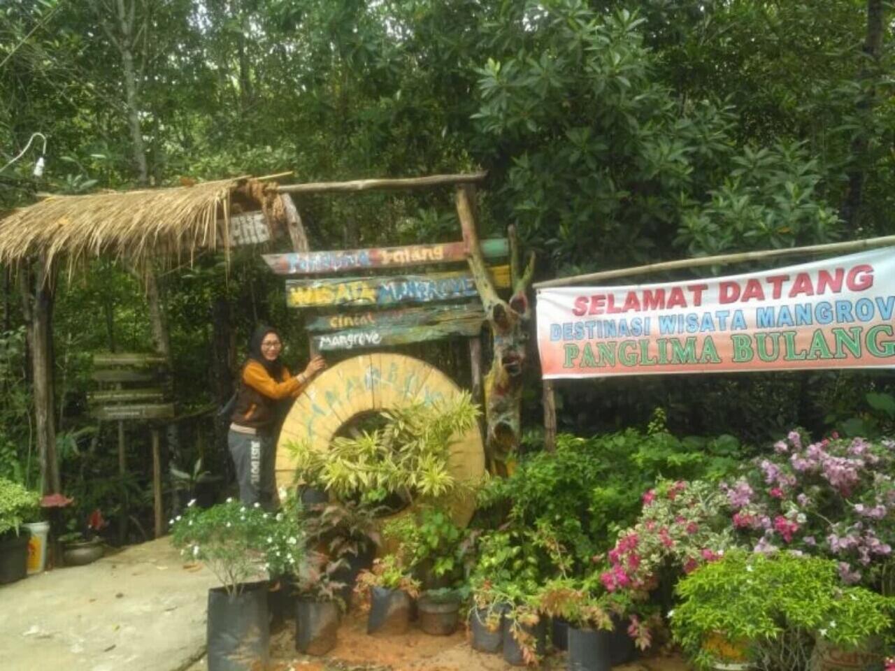 &#91;Coc Reg. Kepuluan Riau&#93; Mengenal Beberapa Wisata Mangrove Yang Ada Di Kepulauan Riau