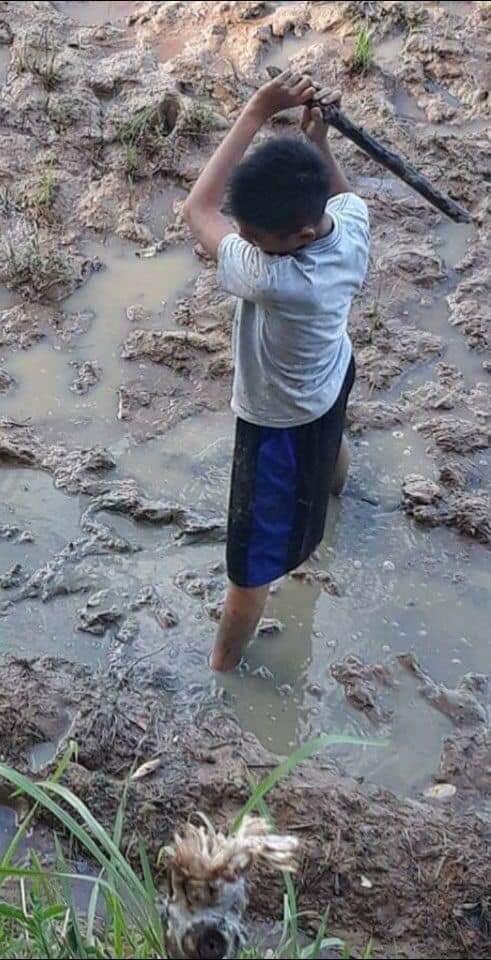 Ganas! Olahraga Memancing yang Satu Ini Mesti Bawa Kayu Tumpul.