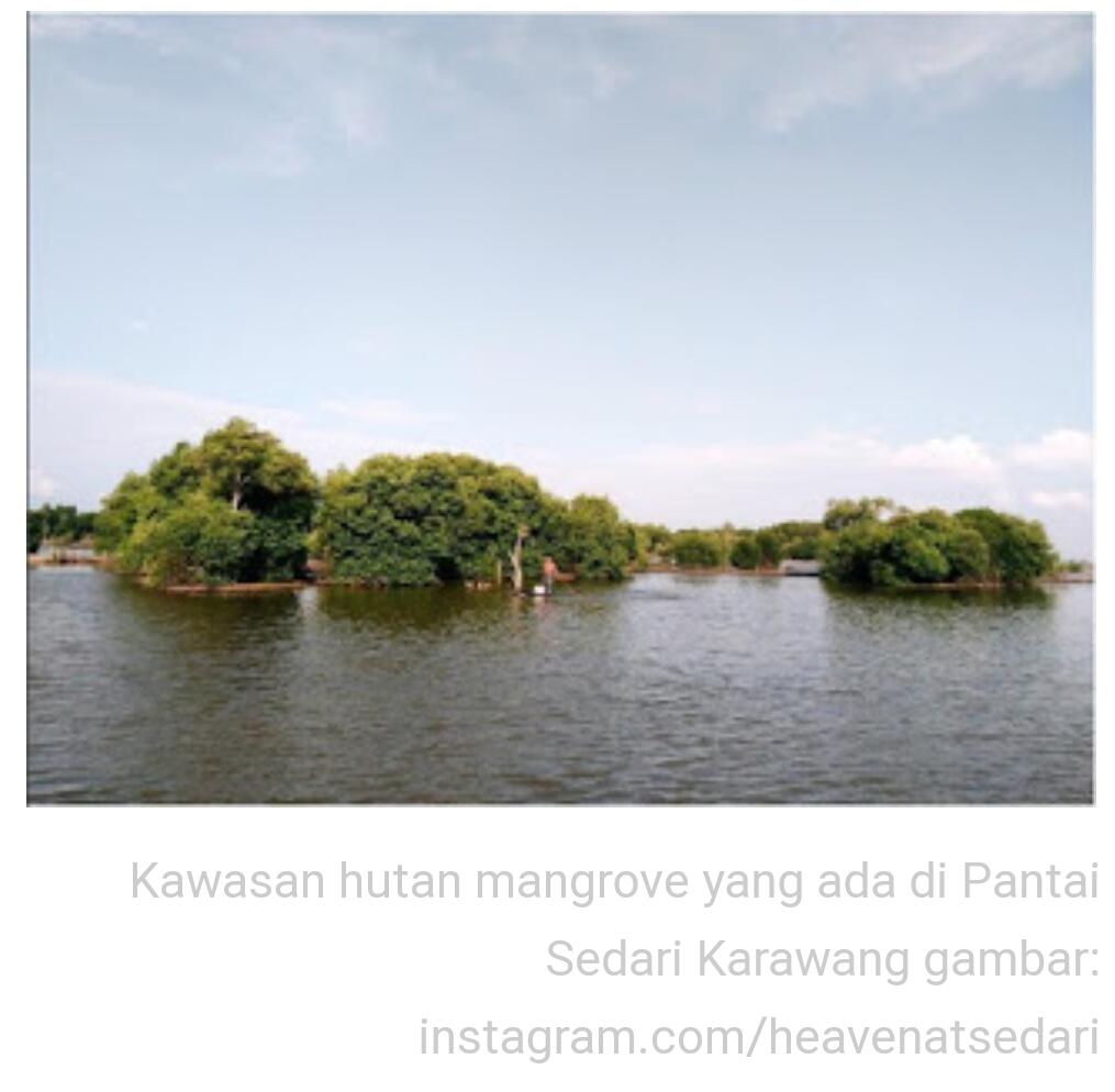 &#91;COC Reg. Karawang&#93; Wisata Pantai Karawang Mengajak Kita Mencintai Alam Dari Dekat 