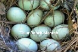 Pasti Joss... Bila Anda Konsumsi...ini..!!!