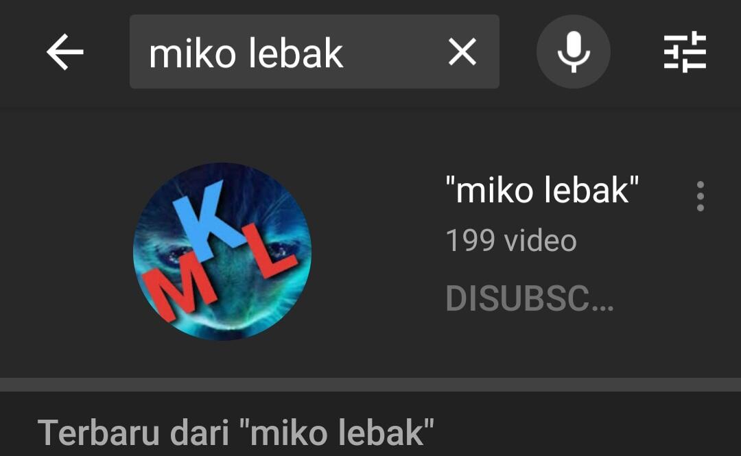 Banyak Yang Tau Ngga Sih Youtuber Indonesia