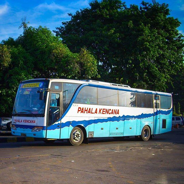 Pahala Kencana, Barometer Bus Malam Mewah Dan Nyaman Dari Kota Kretek