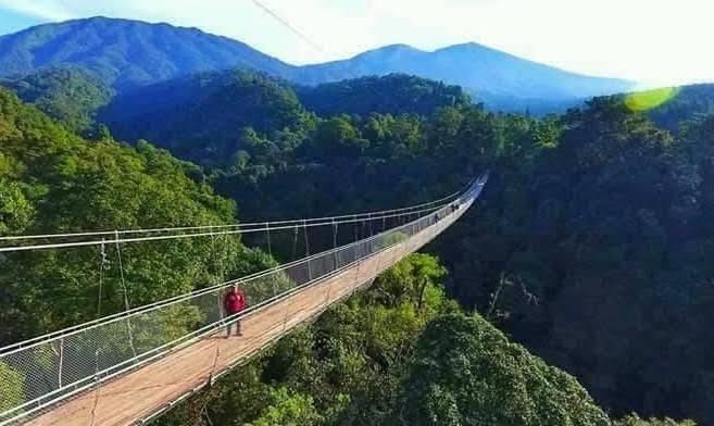 Kamu Pernah Nebeng? Yuk Kita Share Pengalaman Nebeng Di Sini.