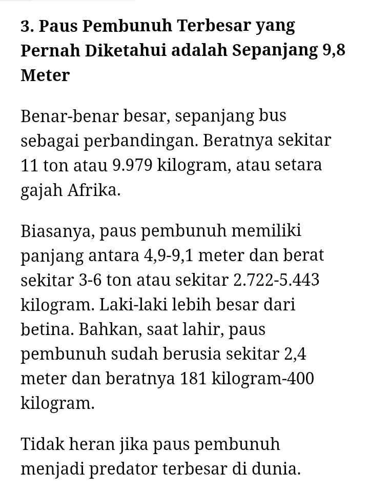 Viral Berswafoto dengan Paus Pembunuh! Hebatnya Warga +62