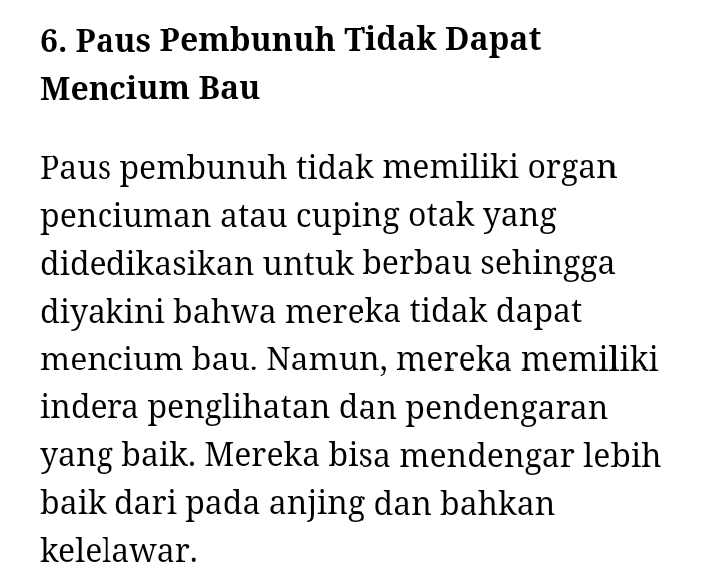 Viral Berswafoto dengan Paus Pembunuh! Hebatnya Warga +62