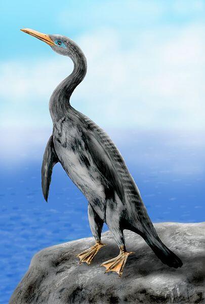 Unik! Burung Raksasa dengan Tinggi 2 Meter Ini Mirip Pinguin Purba