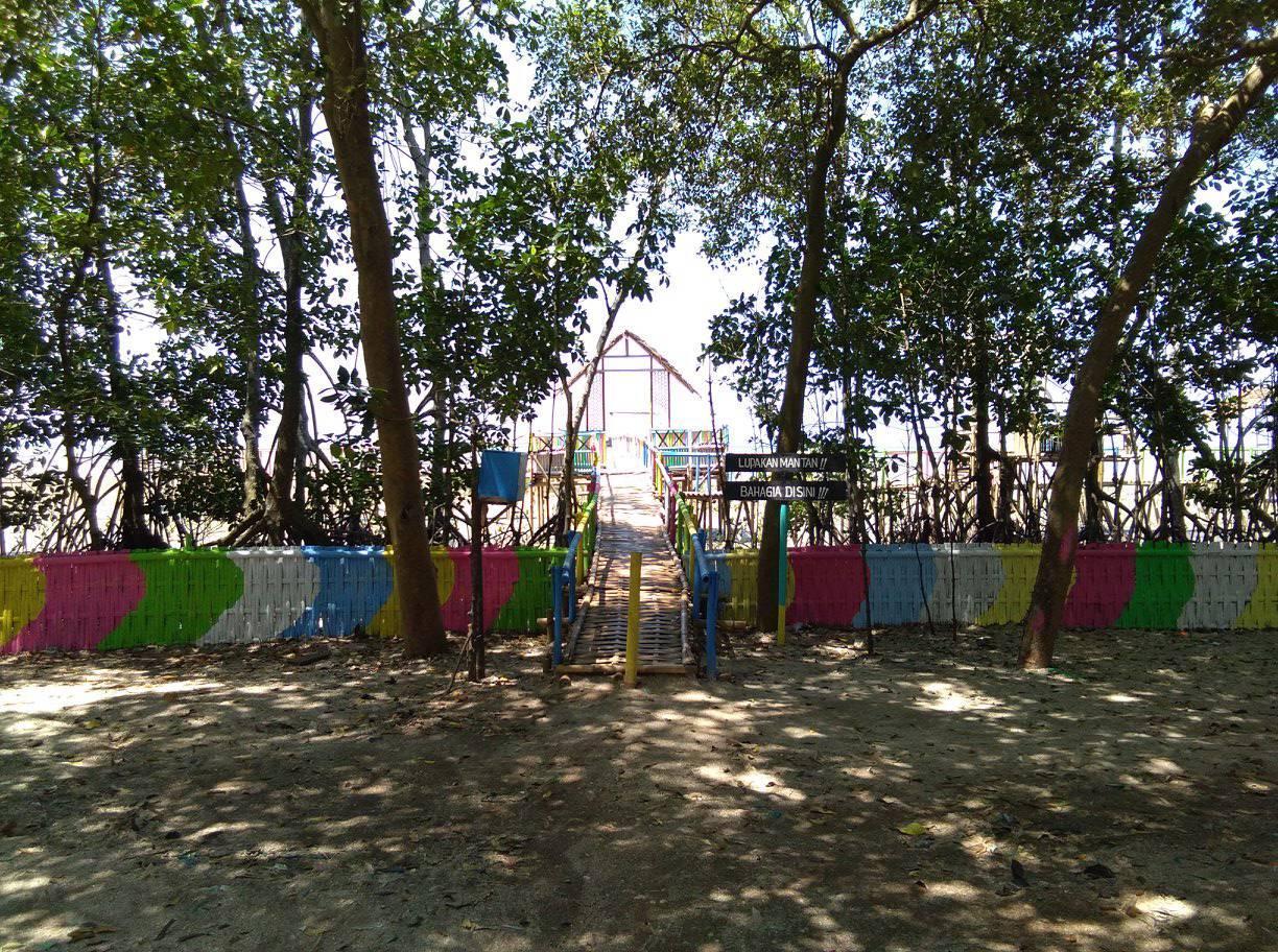 &#91;Coc Reg. Karawang&#93; Mengenal Hutan Mangrove Di Karawang