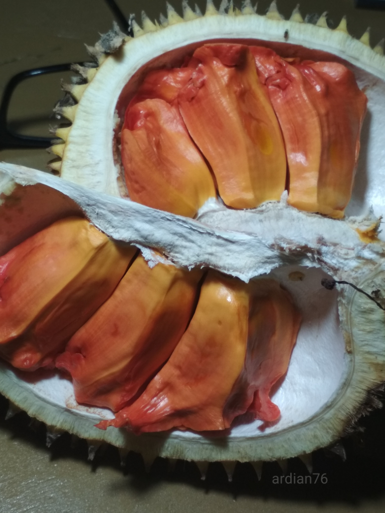 Buah Lai Rasanya Lebih Enak Dari Durian