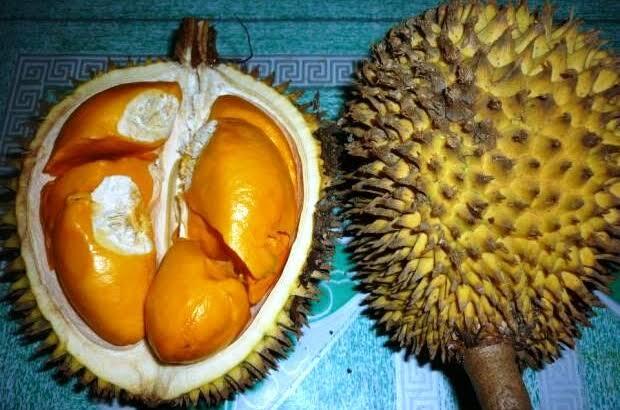 Buah Lai Rasanya Lebih Enak Dari Durian