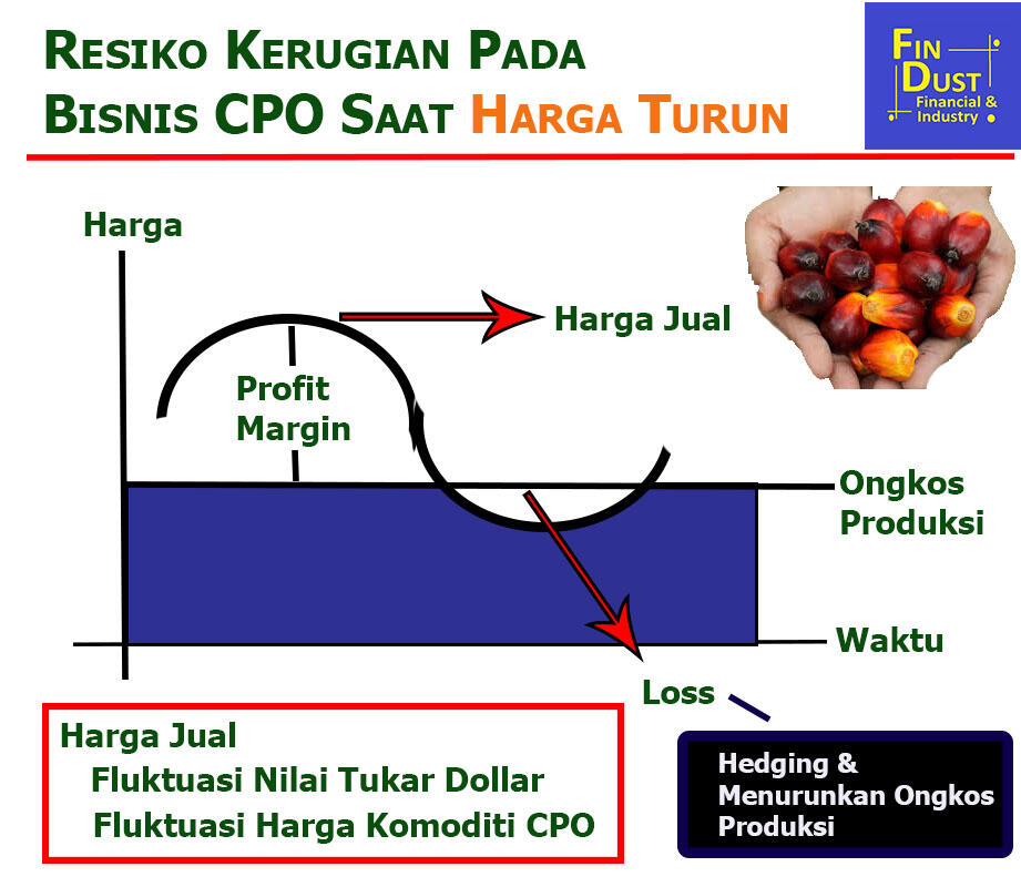 Resiko Kerugian Pada Bisnis CPO Saat Harga Turun