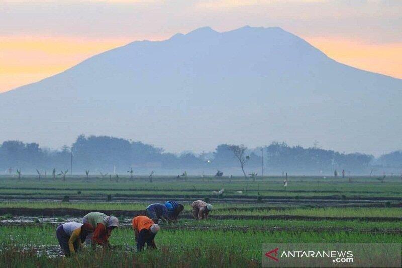4 Gunung di Indonesia yang Sudah Bisa Didaki saat New Normal